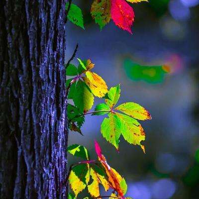 BSport·APP在线登录下载手机版